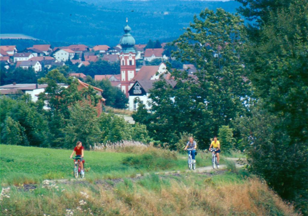 Zum Schwarzen Baeren Hotel Vohenstrauss Exterior photo